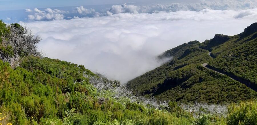 Madeira: Private Guided Achadas Teixeira - Pico Ruivo PR1.1 - The walk to Pico Ruivo: what the trail shows you as you climb