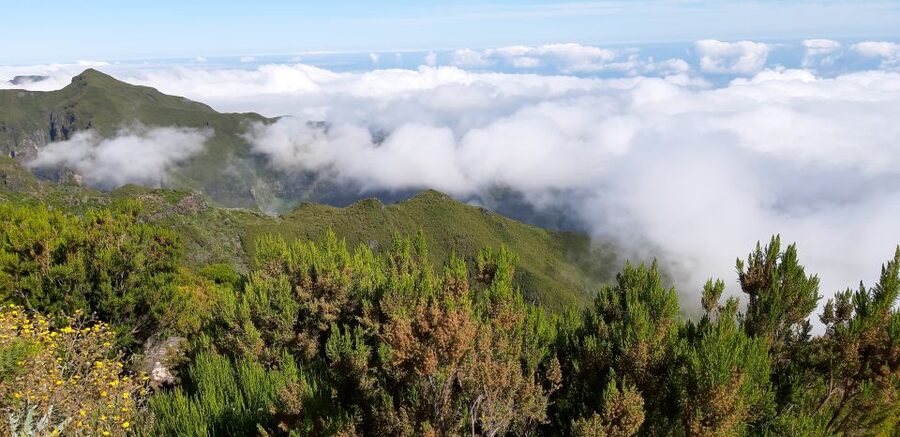 Madeira: Private Guided Achadas Teixeira - Pico Ruivo PR1.1 - Private vehicle, private pacing, and live guide commentary