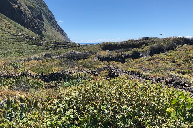 Madeira: Private Guided Half-Day Tour of Northwest Madeira - What the Half-Day Timing Really Means for Your Schedule
