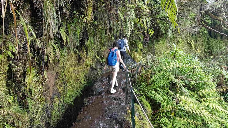 Madeira: Private Guided Levada Caldeirão Verde Walk PR9 - Quick reasons to do the Madeira PR9 Caldeirão Verde walk