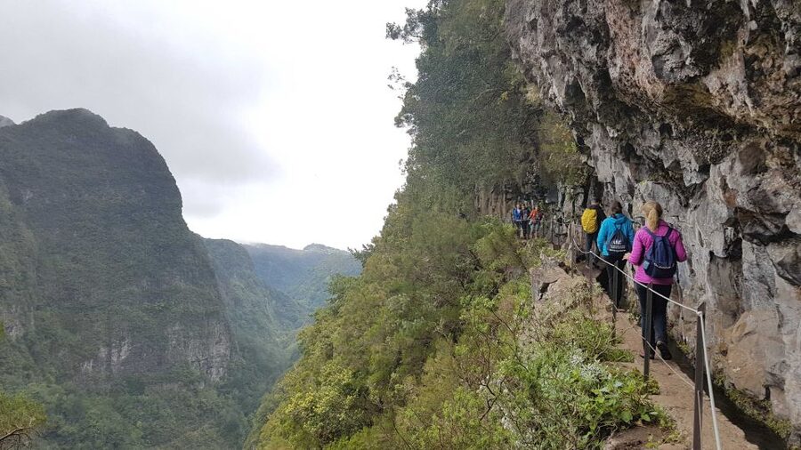Madeira: Private Guided Levada Caldeirão Verde Walk PR9 - Queimadas to Caldeirão Verde: the green, water-first Madeira walk