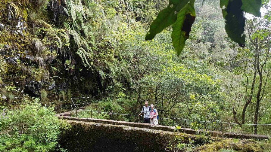 Madeira: Private Guided Levada Caldeirão Verde Walk PR9 - Caldeirão Verde waterfall and lagoon: what you came for