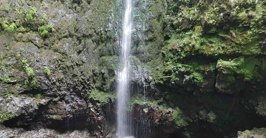 Madeira: Private Guided Levada Caldeirão Verde Walk PR9 - The 6-hour route reality: 12 km, altitude 887 to 925 m, and pace