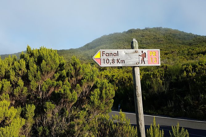 Madeira: Private Guided Walk Vereda Fanal PR13 - Key highlights in plain terms