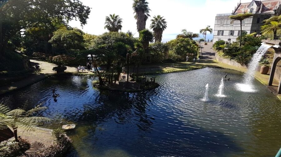 Madeira: Private Half-Day Guided Gardens Tour - Key highlights at a glance
