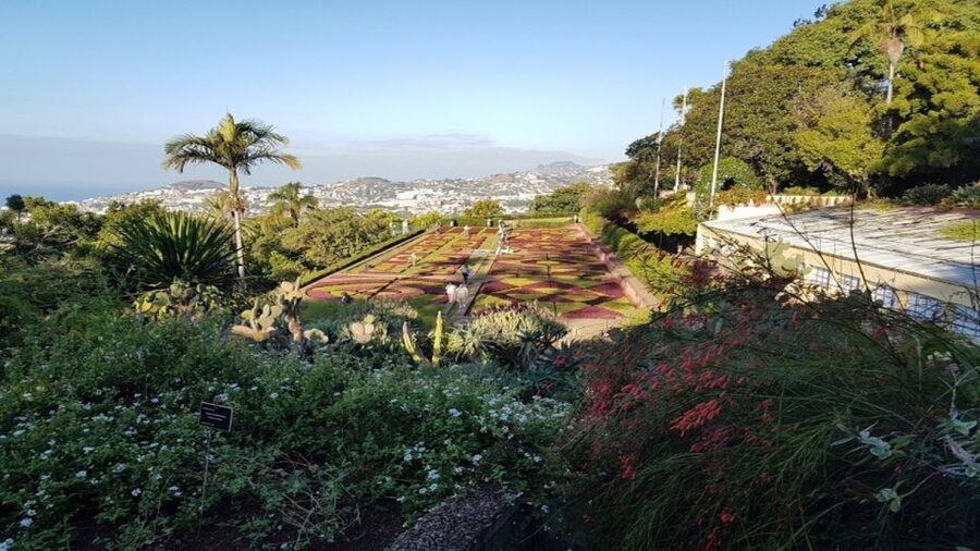 Madeira: Private Half-Day Guided Gardens Tour - Private pickup and a 4-hour plan that fits Madeira time