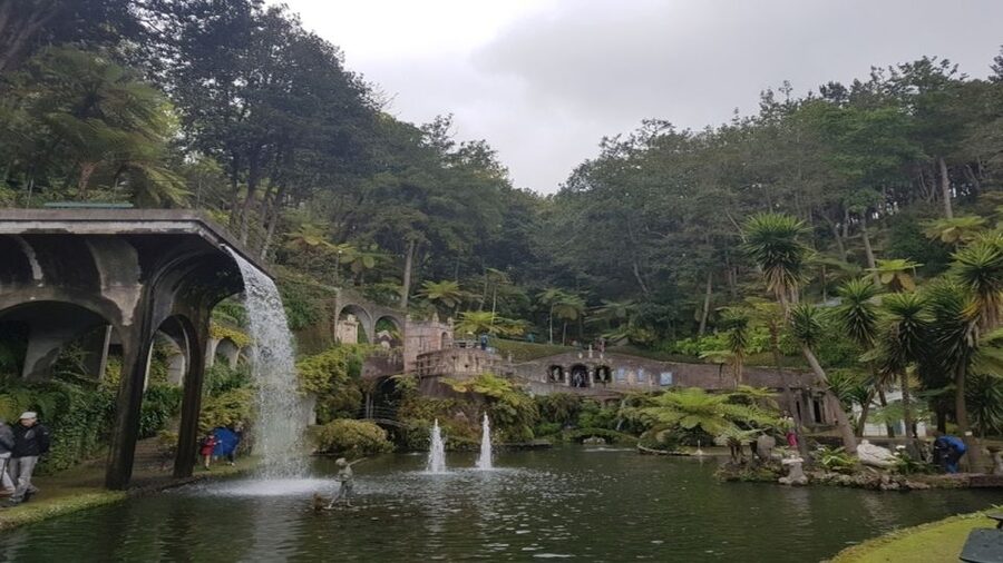 Madeira: Private Half-Day Guided Gardens Tour - What to bring and how to stay comfortable during garden walking
