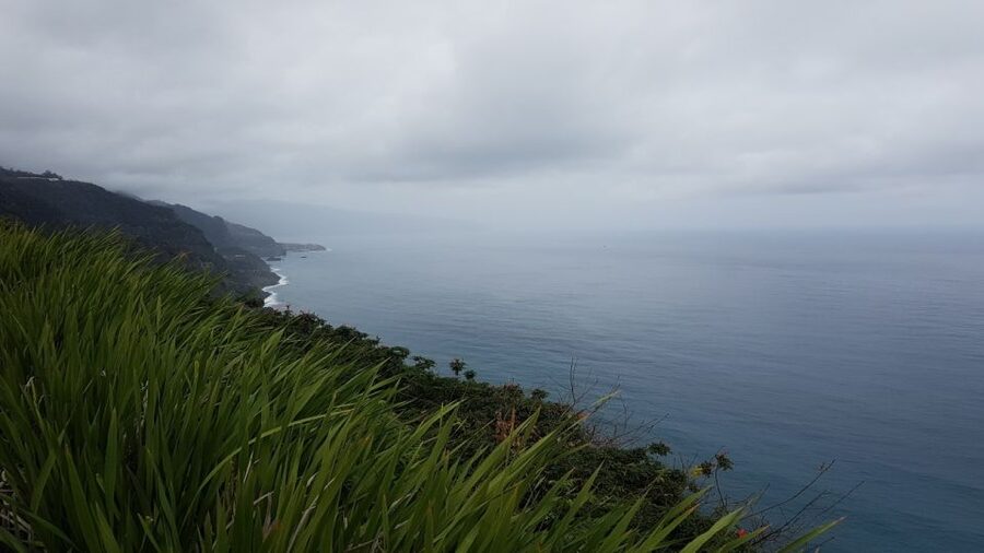 Madeira: Private Half-Day North East Island Tour - The Private Guide Advantage: Francesco, Richard, and Real Adaptation