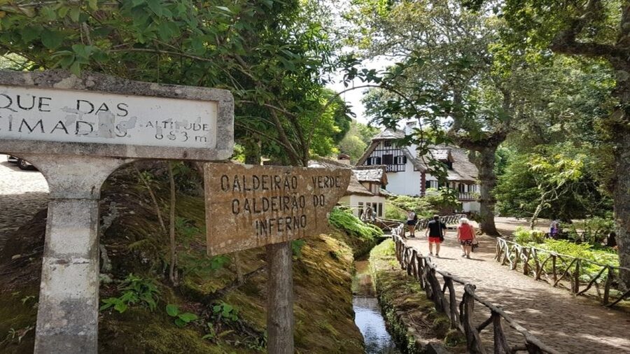 Madeira: Private Half-Day North East Island Tour - What to Pack and How to Handle Weather Without Stress