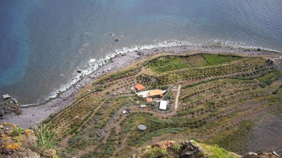 Madeira: Private Half-Day Wine Tasting Tour - Price and value: $200 per group up to 2