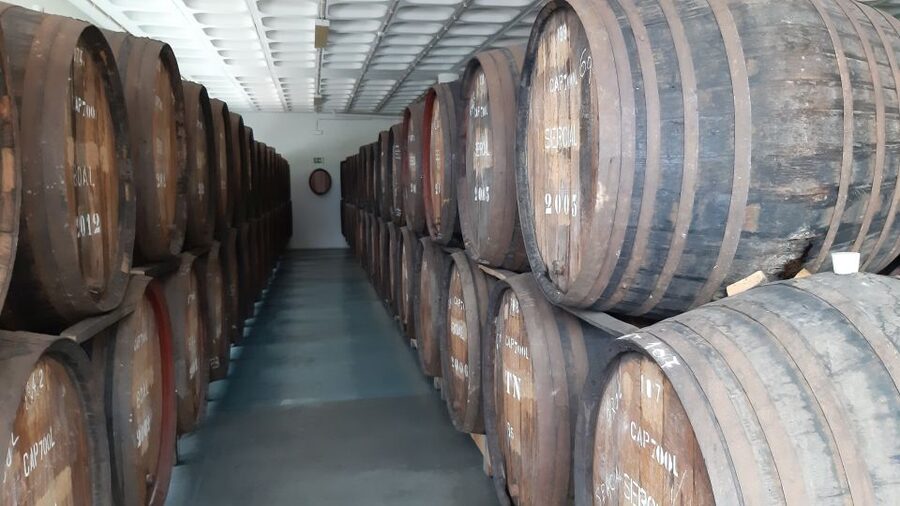 Madeira: Private Half-Day Wine Tasting Tour - How the pickup works from Funchal or your hotel area