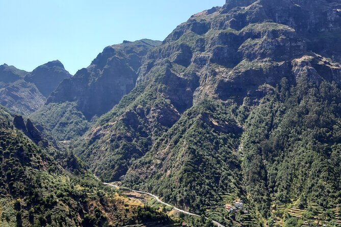 Madeira: Private Laurisilva Tour - Madeira Laurisilva, levadas, and why this tour feels different