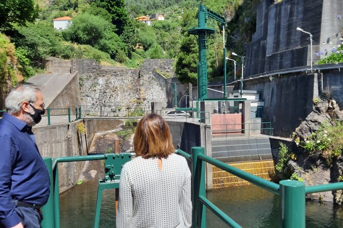 Madeira: Private Laurisilva Tour - A short Laurisilva walk: what you’ll notice in the forest