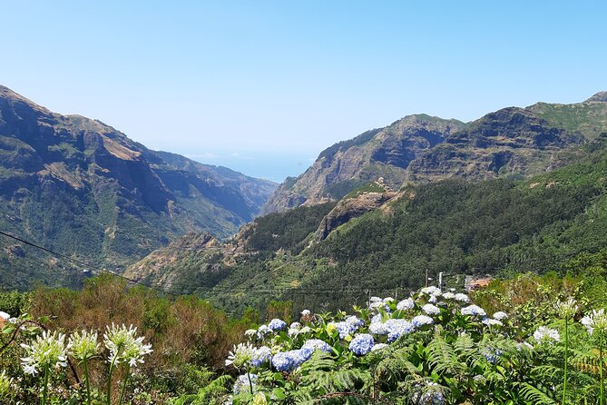 Madeira: Private Laurisilva Tour - Price and value: what $139.63 per group gets you