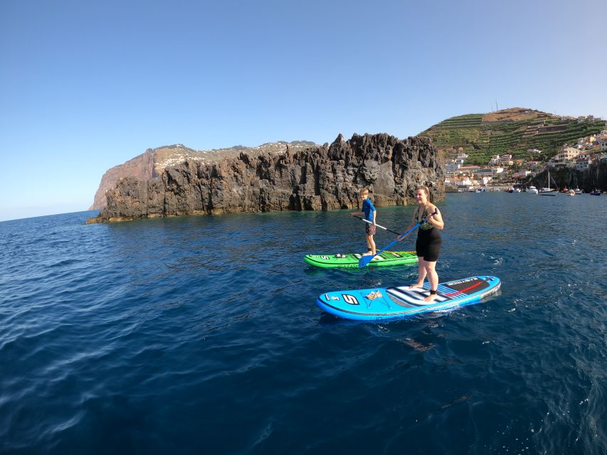 Madeira: Private Paddleboard & Snorkel - Gliding Out of Câmara de Lobos Bay, Then Looking Up at Cabo Girão