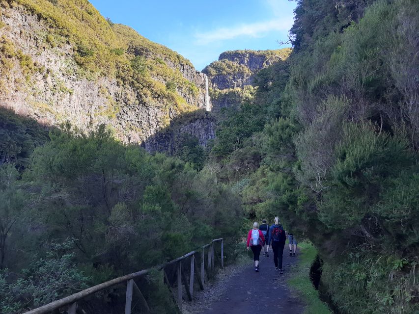 Madeira: Private Walking Tour of Levada das 25 Fontes PR6 - Key Points You Should Know Before You Go