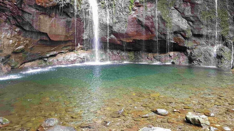 Madeira: Private Walking Tour of Levada das 25 Fontes PR6 - Food, Drinks, and Timing: Plan Your Energy
