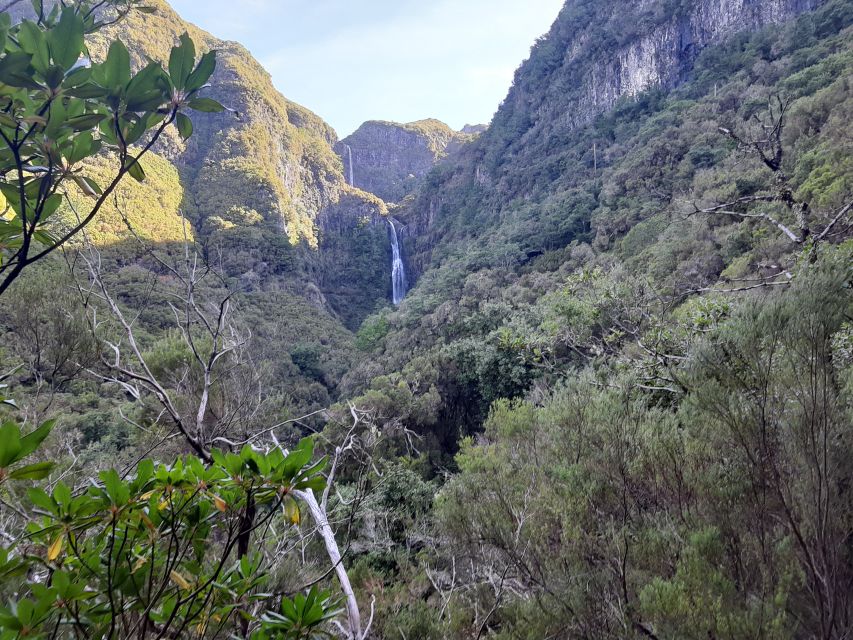 Madeira: Private Walking Tour of Levada das 25 Fontes PR6 - Why Levada das 25 Fontes Feels Worth It (PR6, Waterfalls, and Real Island Forest)