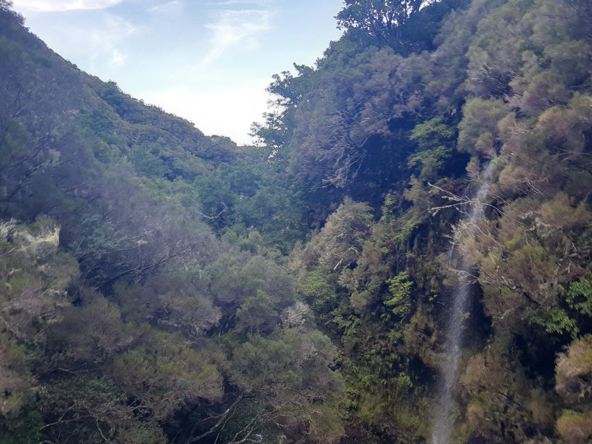 Madeira: Private Walking Tour of Levada das 25 Fontes PR6 - The Levada Trail: Native Flora, Wildlife, and the Tunnel Moment