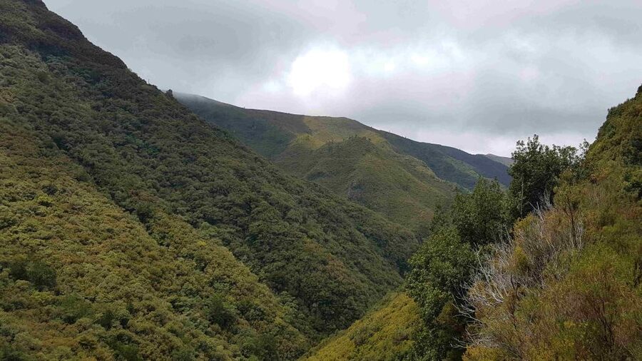 Madeira: Private Walking Tour of Levada das 25 Fontes PR6 - Arriving at Levada das 25 Fontes: 25 Waterfalls and the Lagoon