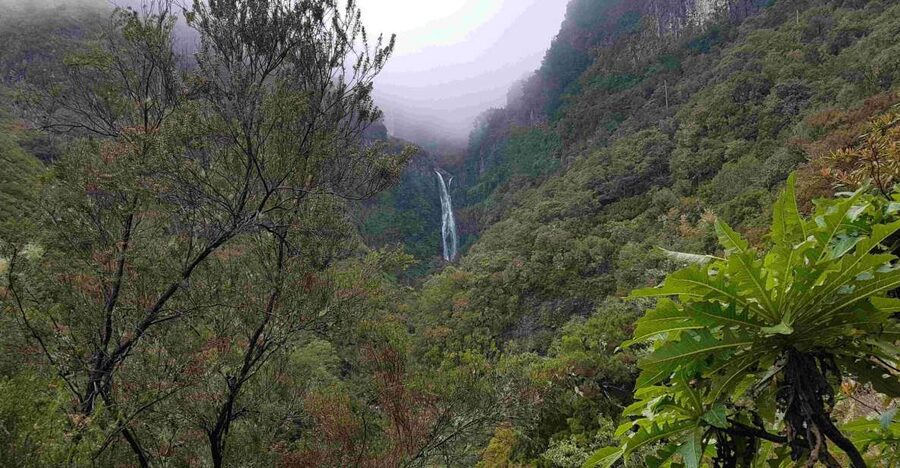 Madeira: Private Walking Tour of Levada das 25 Fontes PR6 - Viewpoints and Photo Stops: A Private Group Lets You Time It Right