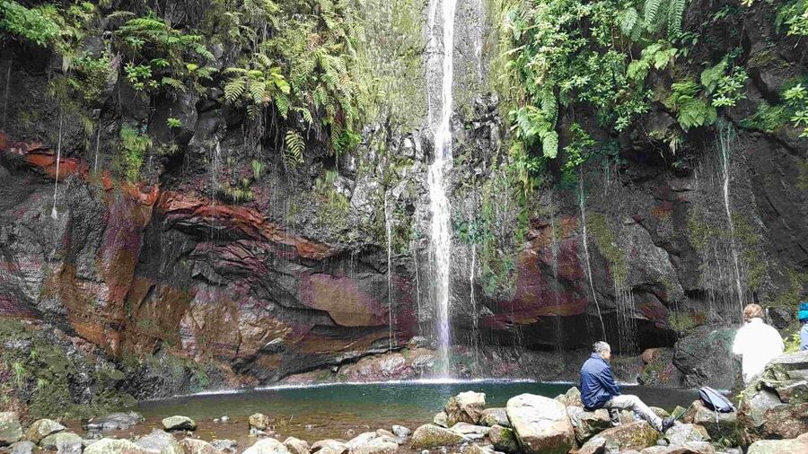 Madeira: Private Walking Tour of Levada das 25 Fontes PR6 - Comfort and Safety Reality: Wet Trails, Rules, and How to Stay Relaxed