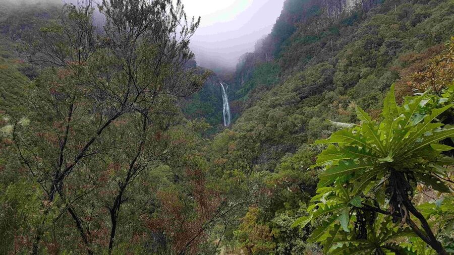 Madeira: Private Walking Tour of Levada das 25 Fontes PR6 - Rabaçal Pickup, Private Transport, and How This Day Runs Smoothly