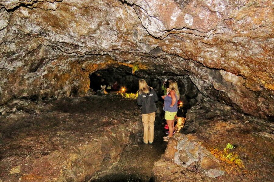 Madeira : Private wine experience by 4WD - Final call: should you book Madeira’s private 4x4 wine experience
