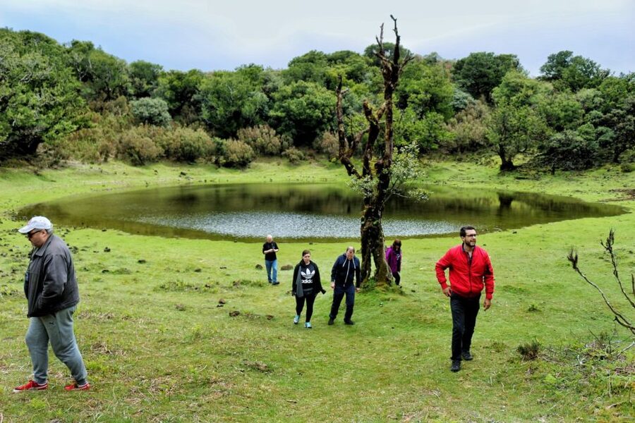 Madeira : Private wine experience by 4WD - Chão da Ribeira, Laurissilva UNESCO woods, and waterfalls into the Atlantic