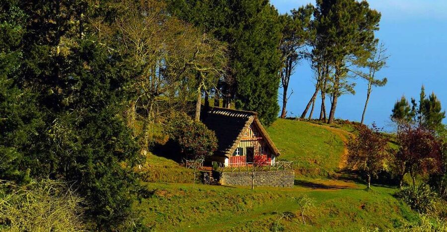 Madeira: Queimadas, Caldeirão Verde and Levada Walk - Key things you should know before you go