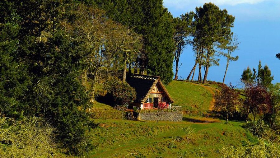 Madeira: Queimadas, Caldeirão Verde and Levada Walk - Starting at Queimadas Guest House, then finding the rhythm of the levada
