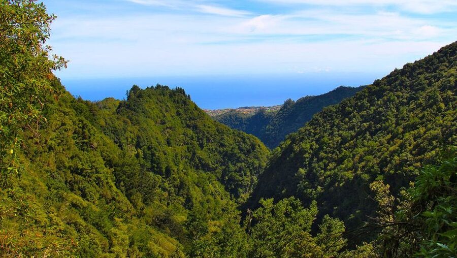 Madeira: Queimadas, Caldeirão Verde and Levada Walk - The Caldeirão Verde waterfall payoff, and how to enjoy it without rushing