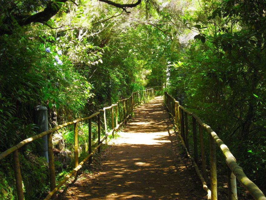Madeira: Queimadas, Caldeirão Verde and Levada Walk - Guide time with Charlotte: plant and wildlife spotting that changes how you see Madeira