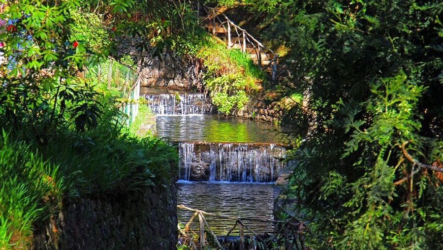 Madeira: Queimadas, Caldeirão Verde and Levada Walk - Value and price: is $50 worth it for an 8-hour levada day?