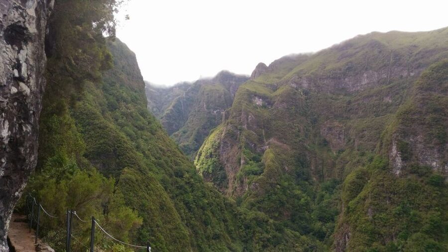 Madeira: Queimadas, Caldeirão Verde and Levada Walk - Who should book this Madeira hike, and who should skip it