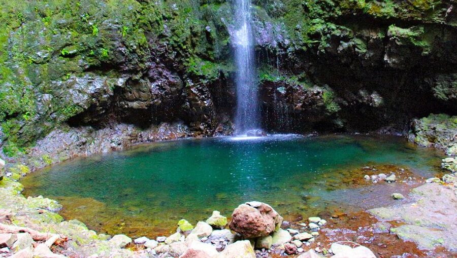 Madeira: Queimadas, Caldeirão Verde and Levada Walk - Levada da Serra de São Jorge: village views, waterfall moments, and small tunnel sections