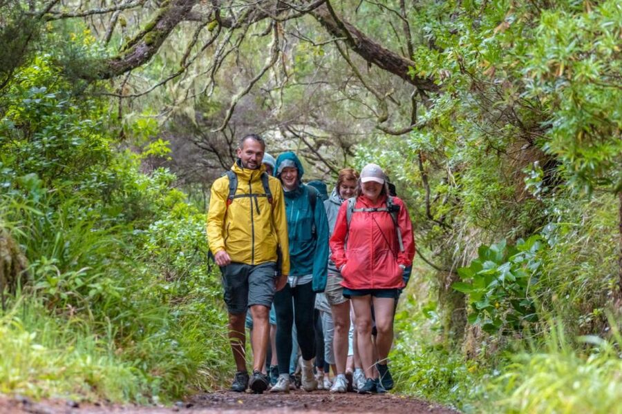 Madeira: Rabaçal 25 Fountains Levada Walk & Cabo Girão - Value check: is $67 a smart way to cover Madeira’s highlights?