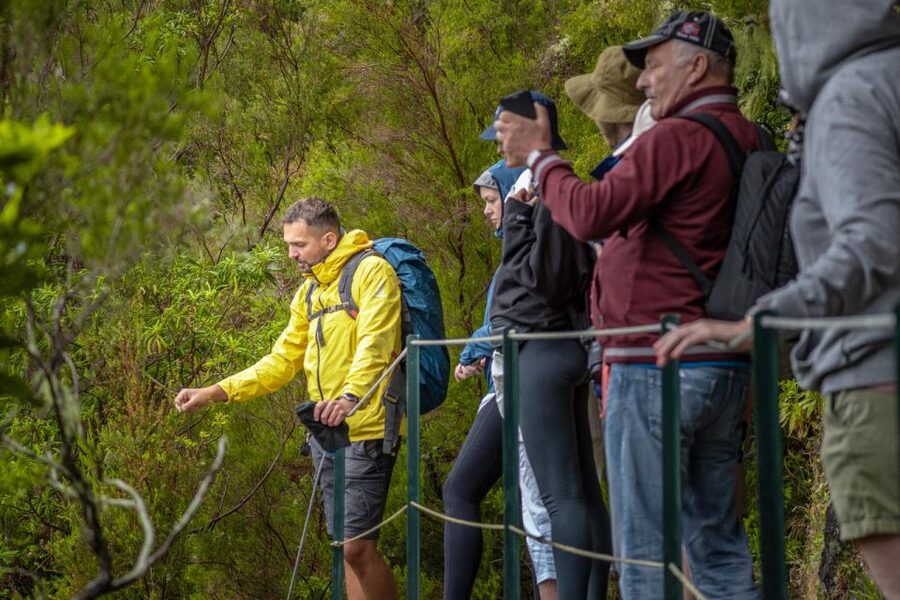 Madeira: Rabaçal 25 Fountains Levada Walk & Cabo Girão - Who this tour fits, and who should think twice