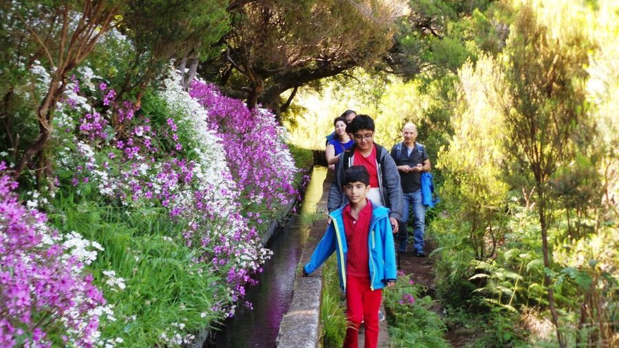Madeira: Rabaçal 25 Fountains Levada Walk & Cabo Girão - Getting to the start in Funchal: what the day feels like early on