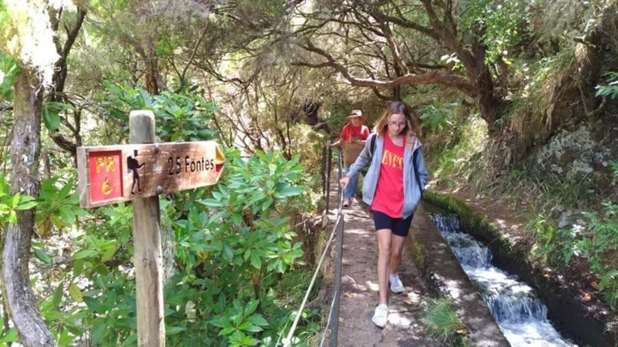 Madeira: Rabaçal, Risco and 25 Fontes Guided Hiking Tour - Key highlights I’d circle before you go