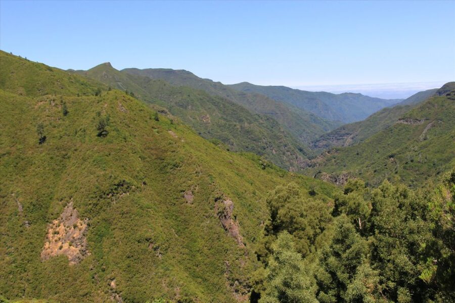 Madeira: Rabaçal, Risco and 25 Fontes Guided Hiking Tour - 25 Fontes Lake: a must-see circuit, with stairs and crowds to manage