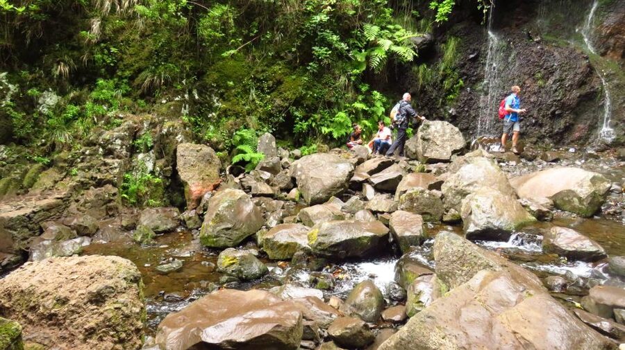 Madeira: Rabaçal, Risco and 25 Fontes Guided Hiking Tour - Price and value: what your $47 really buys (plus the €3 access fee)