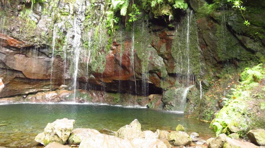 Madeira: Rabaçal, Risco and 25 Fontes Guided Hiking Tour - Getting to the start: pick-up options and how the day actually runs