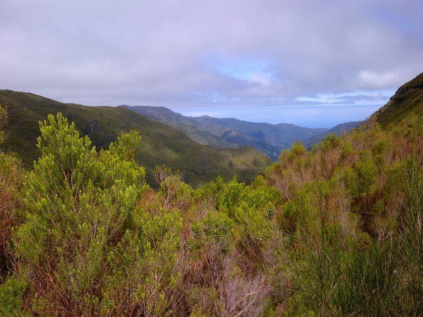 Madeira: Rabaçal Valleys 3-Hour Guided Walk - Key Highlights You’ll Actually Care About
