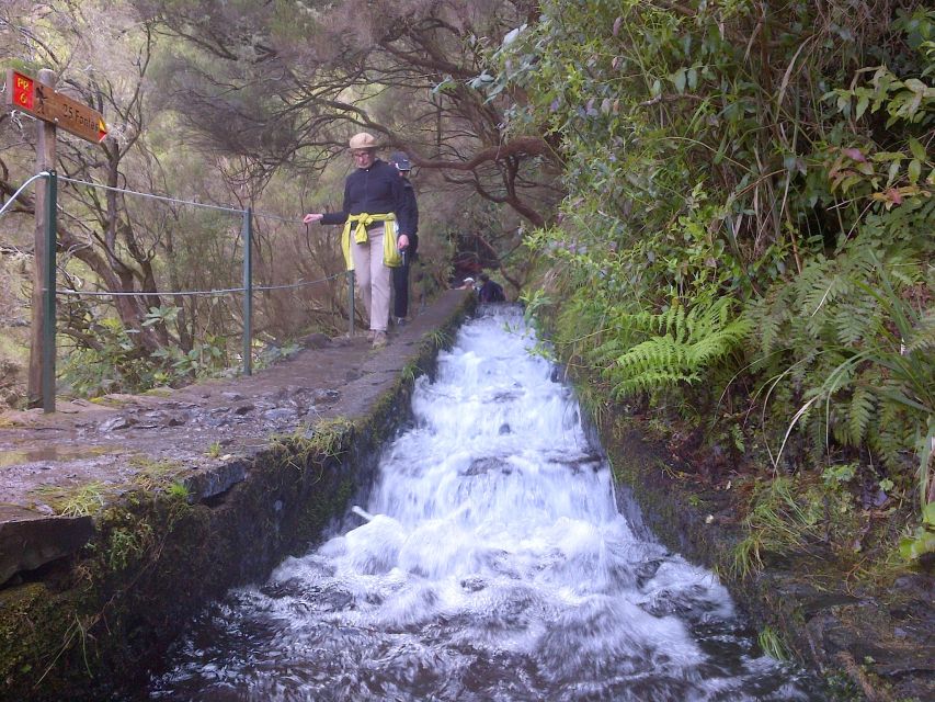 Madeira: Rabaçal Valleys 3-Hour Guided Walk - Rabaçal Levada Walk: Why the UNESCO Laurisilva Part Matters