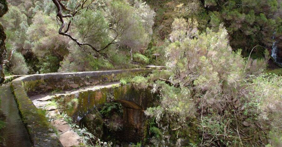 Madeira: Rabaçal Valleys 3-Hour Guided Walk - Following the Levada Corridor Through Laurisilva Forest