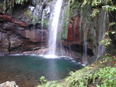 Rabaçal Valleys 3-Hour Guided Walk