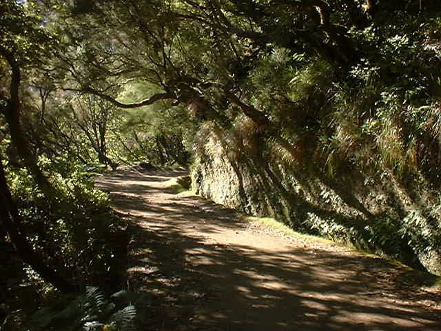 Madeira: Rabaçal Valleys 3-Hour Guided Walk - Transportation and Guide Setup With MBtours