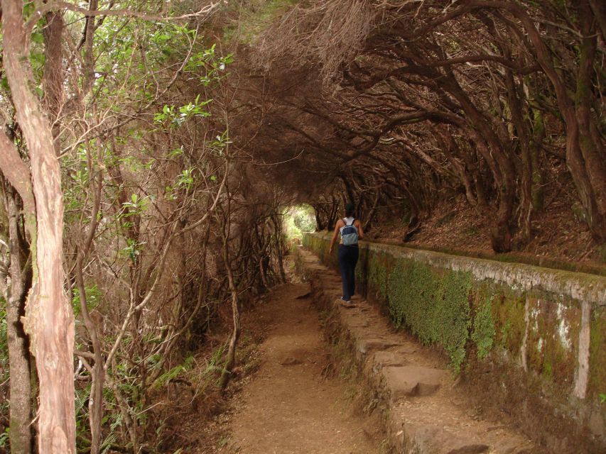 Madeira: Rabaçal Valleys 3-Hour Guided Walk - What to Bring for a Moderate 10 km Levada Day