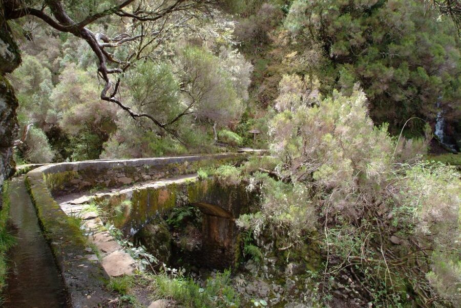Madeira: Rabaçal Valleys 3-Hour Guided Walk - Who Should Book This Walk, and Who Might Skip It